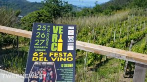 FESTA DEL VINO VERICI
