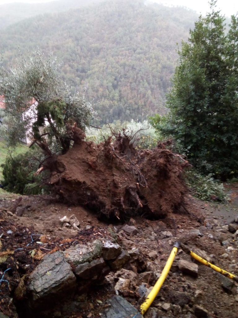 allerta rossa