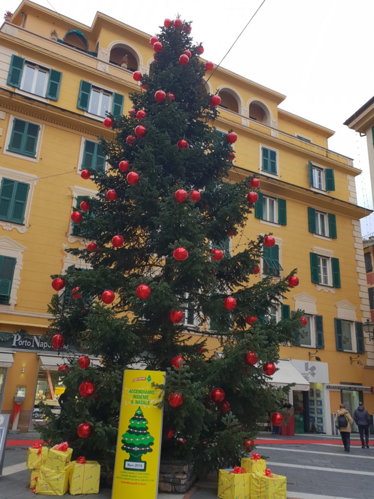 Stella Di Natale Albero.E Il Giorno Dell Albero Di Natale Meglio Una Pianta Made In Liguria Twebnews
