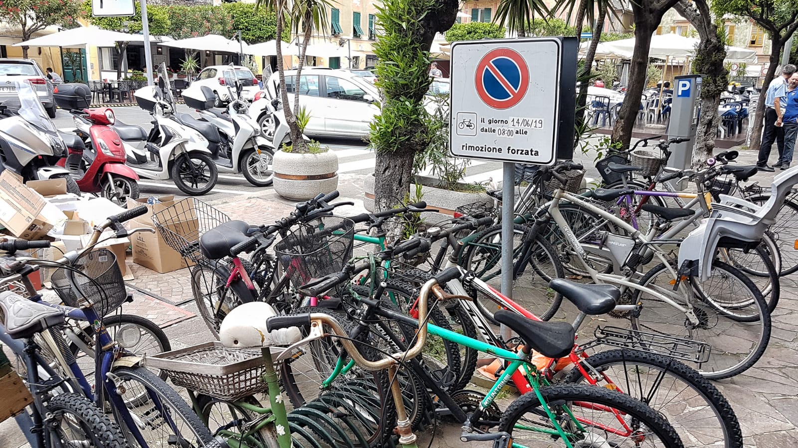 basko bicicletta